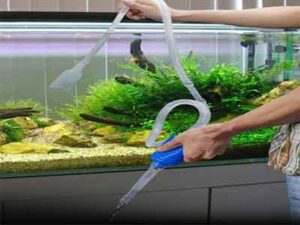 Essential aquarium maintenance tools such as algae scrubbers and water changers