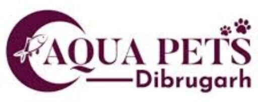 AQUA PETS DIBRUGARH THE CHEAPEST PRICE AQUARIUM SHOP IN DIBRUGARH