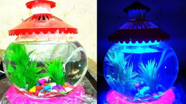 Medium fish bowl combo