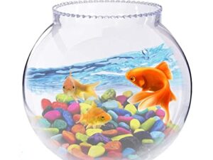 Fish Bowl Combo available at Aqua Pets Dibrugarh