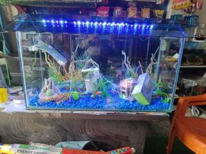 2ft loade aquarium combo