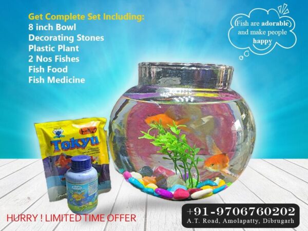 Medium Fish Bowl Combo with Gold Fish