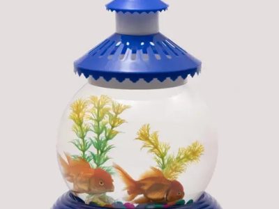 Large Fish Bowl Combo Set Available at Dibrugarh